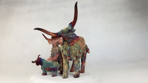 Highland Cows